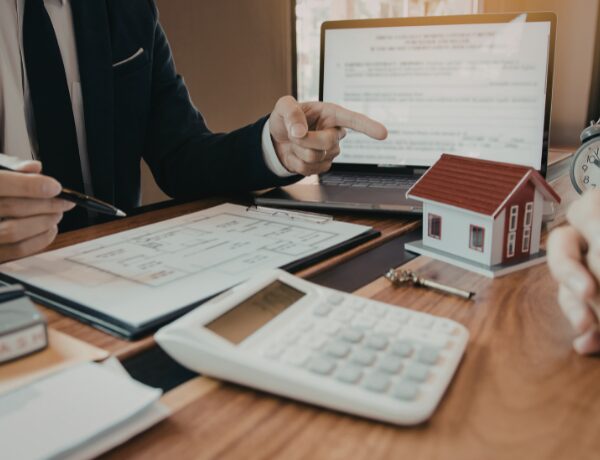 Stabilization & Optimization